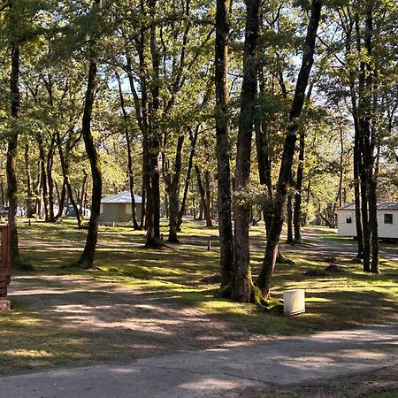 Camping Les Petites Minaudieres Coussay-les-Bois Εξωτερικό φωτογραφία